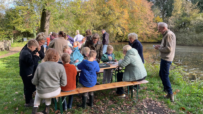 Uilenballen pluizen 2025 001