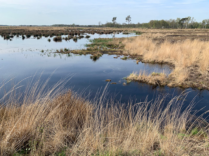 Excursie Engbertsdijksvenen 2023 025