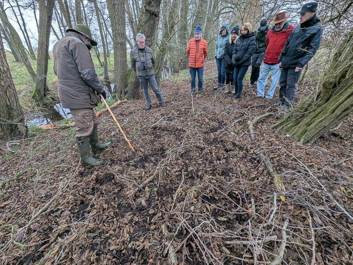 dassensporen