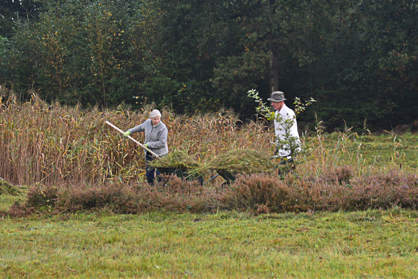 Hooien Varsenerveld 2017 0003