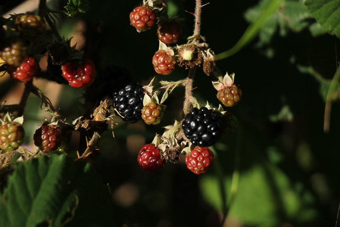 bij excursie 18 april 2026 02