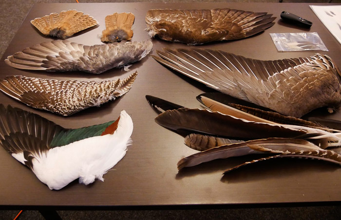 0001voorbeelden meegenomen door Evert